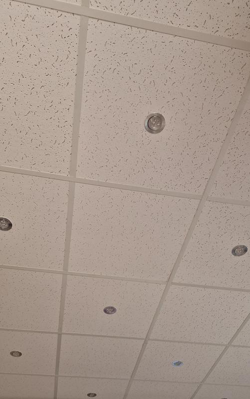 Abrir modal de revisión 1 de 1