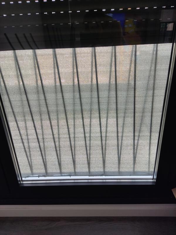 Abrir modal de revisión 1 de 1