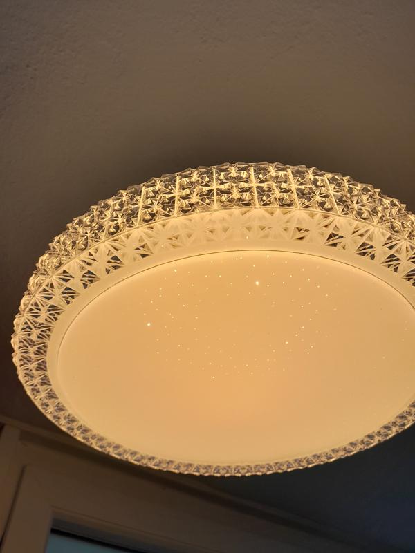 Abrir modal de revisión 4 de 6