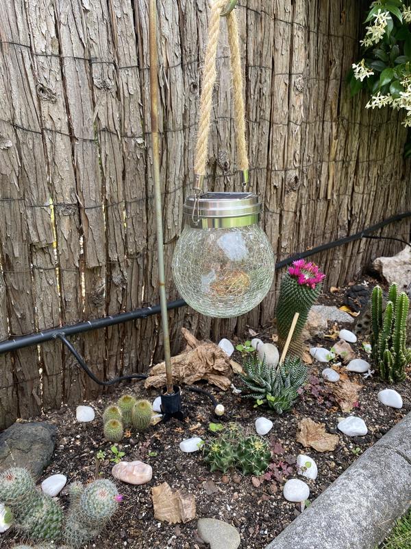 Abra o modal de avaliação 1 de 1