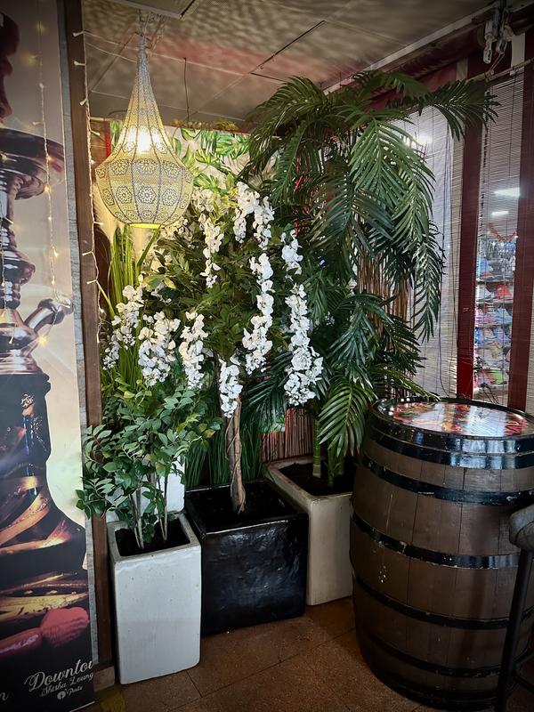 Abrir modal de revisión 1 de 1