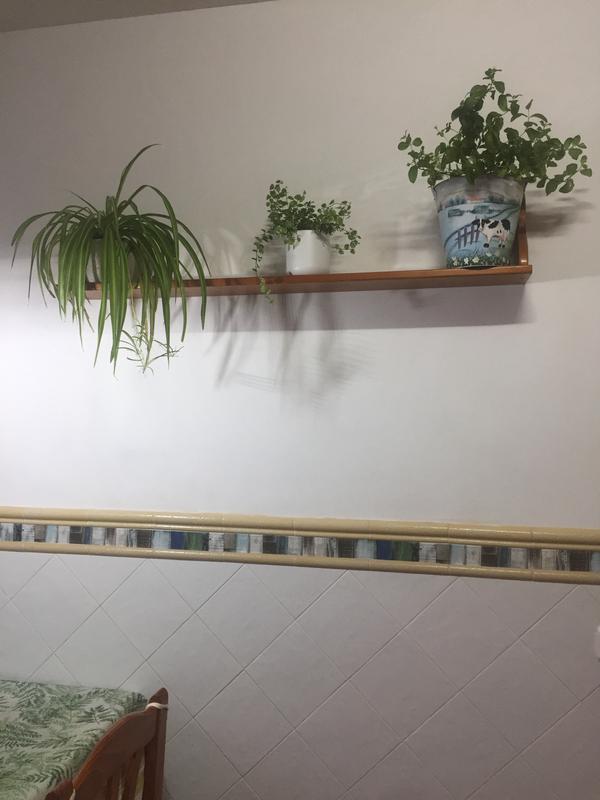 Abra o modal de avaliação 1 de 1