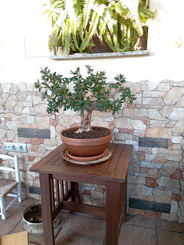 Abrir modal de revisión 2 de 2