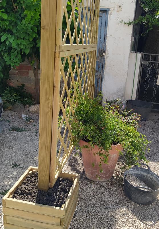 Revisione aperta modale 1 su 1