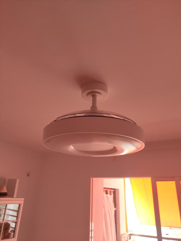 Revisione aperta modale 1 su 1