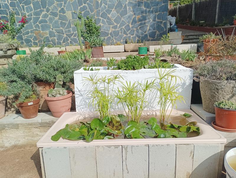 Abrir modal de revisión 1 de 2