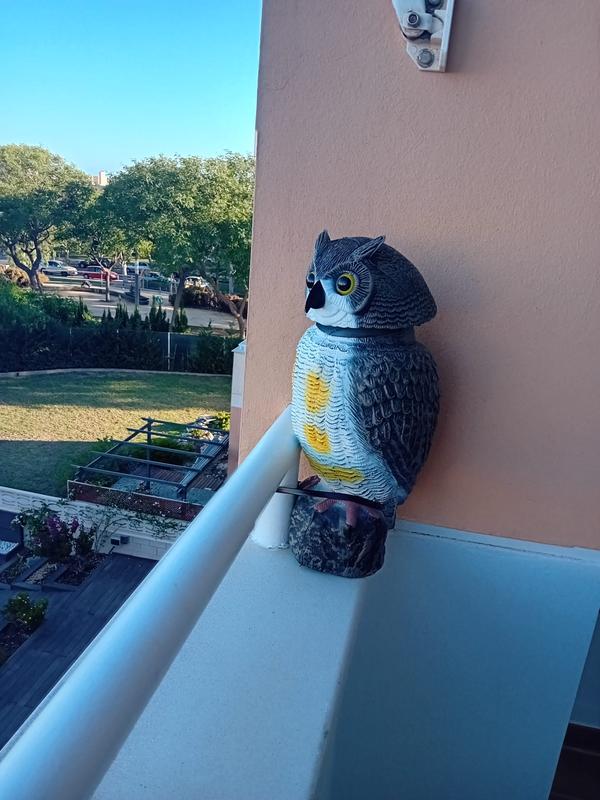 Abra o modal de avaliação 1 de 1