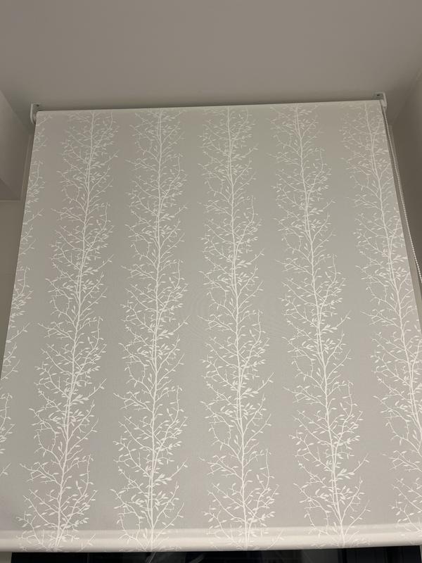 Abrir modal de revisión 1 de 1