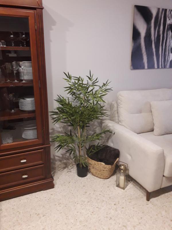 Abra o modal de avaliação 1 de 1