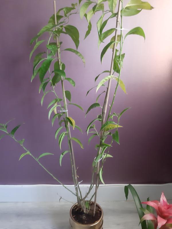 Ouvrir la fenêtre modale de l'avis 1 sur 1