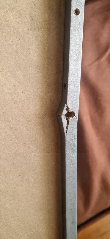 Abrir modal de revisión 4 de 6