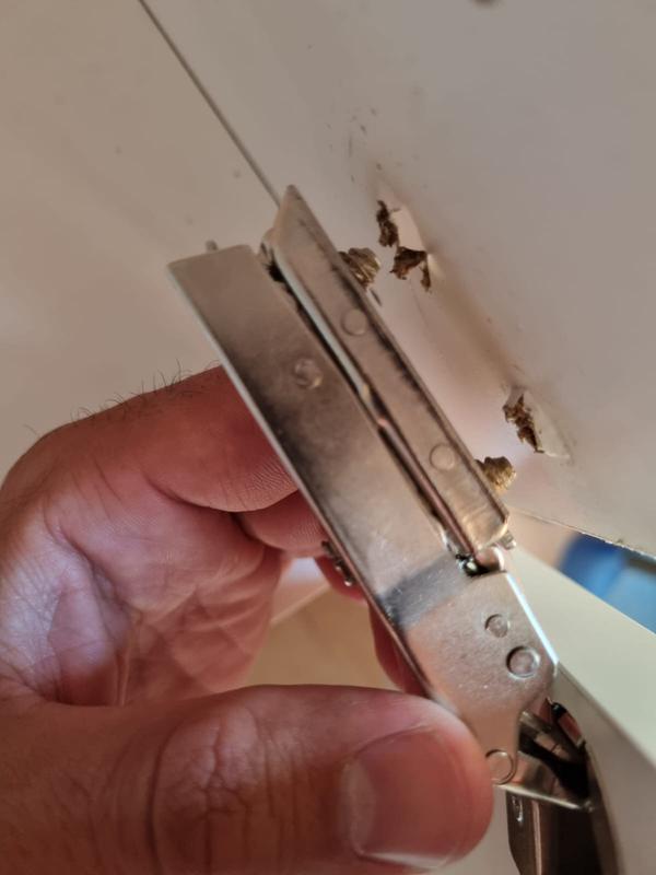 Abrir modal de revisión 1 de 1