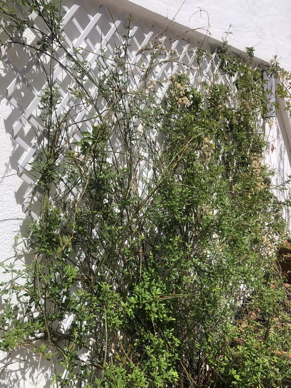 Abra o modal de avaliação 1 de 1