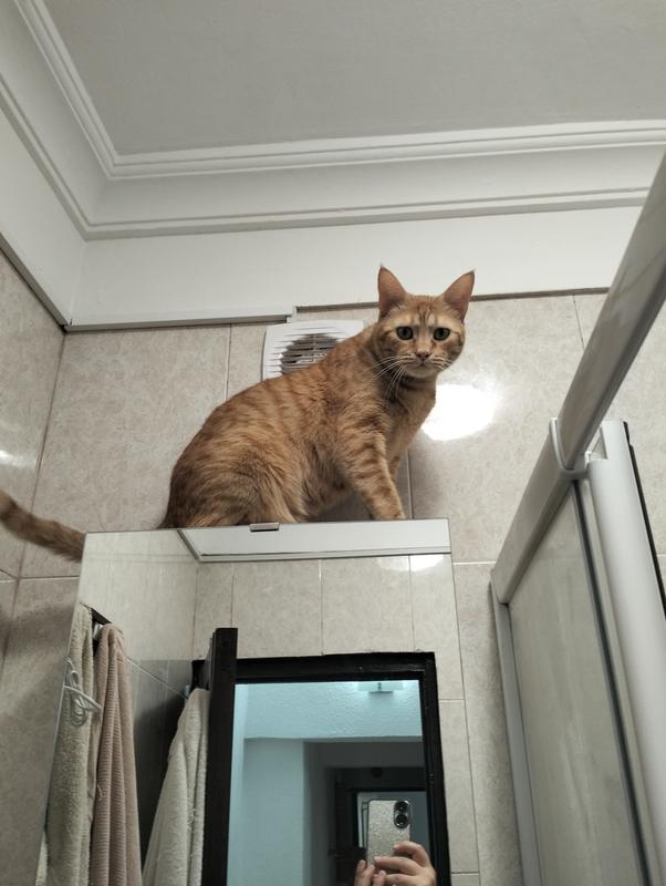 Ouvrir la fenêtre modale de l'avis 1 sur 1