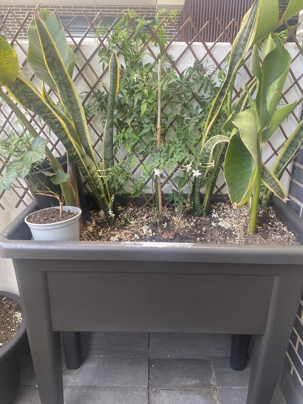 Abra o modal de avaliação 1 de 1