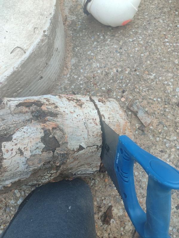 Otwórz okno opinii 1 na stronie 1