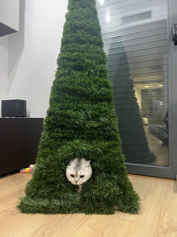 Abrir modal de revisión 1 de 1