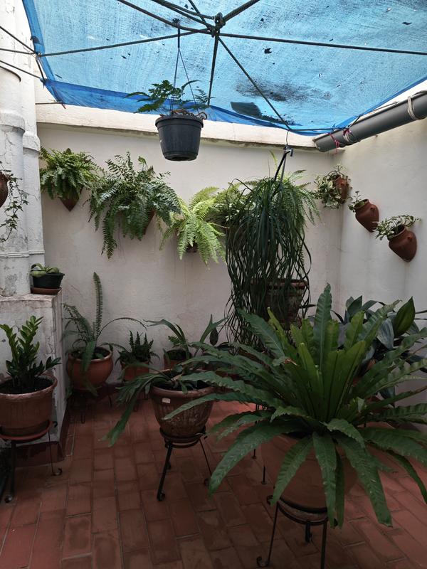 Abrir modal de revisión 1 de 1