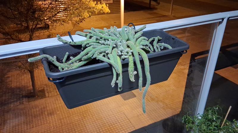 Abrir modal de revisión 1 de 1