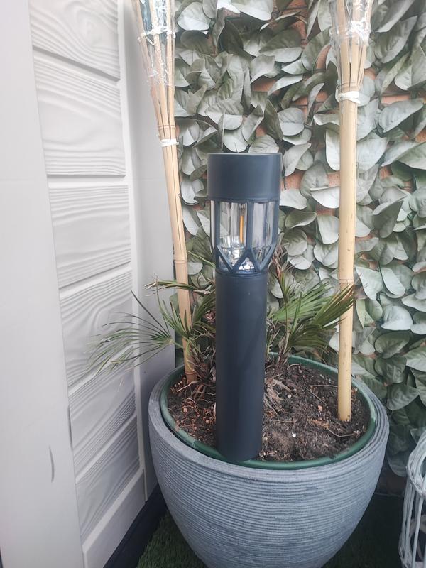 Abra o modal de avaliação 1 de 1