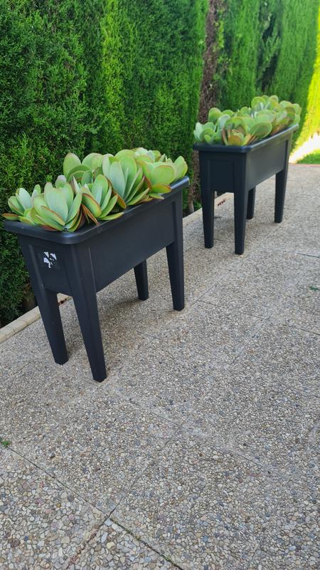 Abra o modal de avaliação 1 de 1