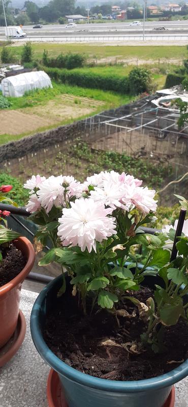 Abrir modal de revisión 3 de 3