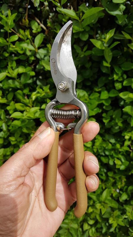 Abra o modal de avaliação 4 de 4