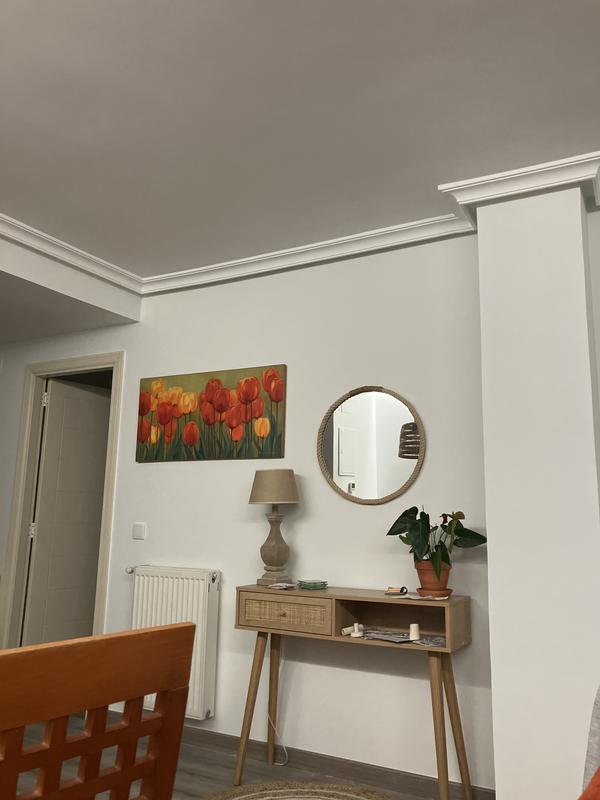 Abrir modal de revisión 1 de 1