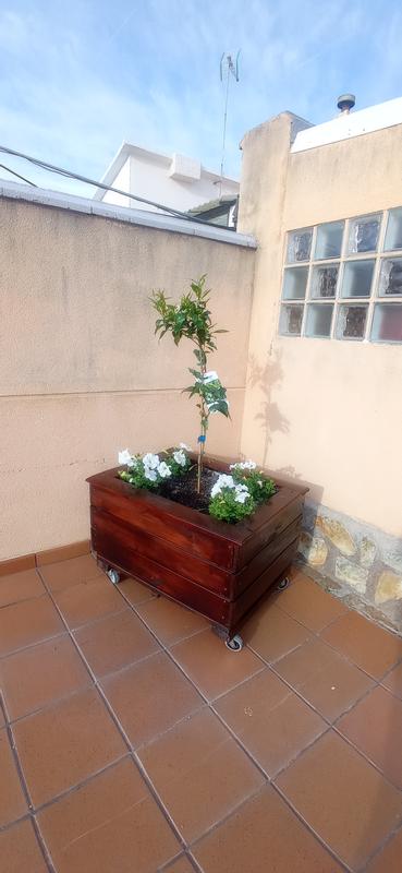 Abrir modal de revisión 1 de 1