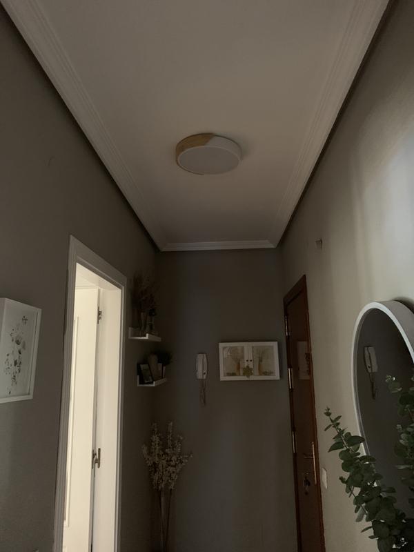 Abrir modal de revisión 1 de 1