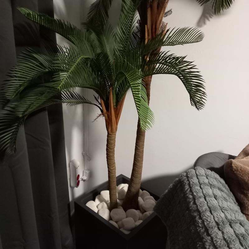 Ouvrir la fenêtre modale de l'avis 1 sur 1