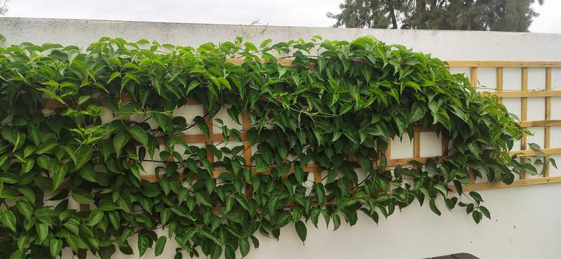 Abra o modal de avaliação 1 de 1