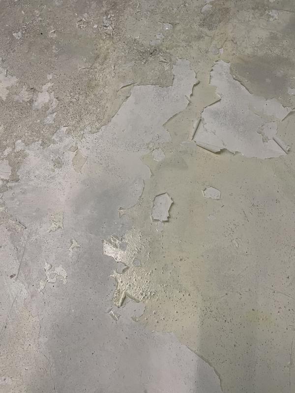 Abrir modal de revisión 1 de 1