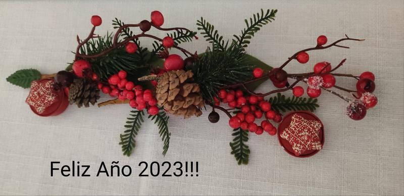 Abrir modal de revisión 1 de 1