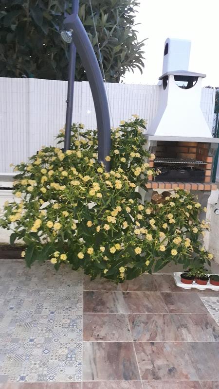 Abra o modal de avaliação 1 de 1