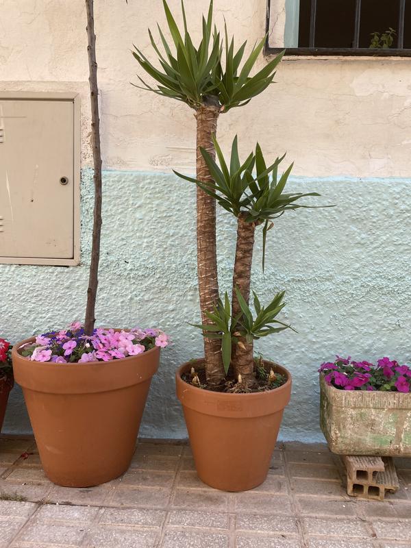 Abrir modal de revisión 1 de 1