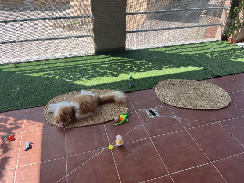 Abrir modal de revisión 1 de 2