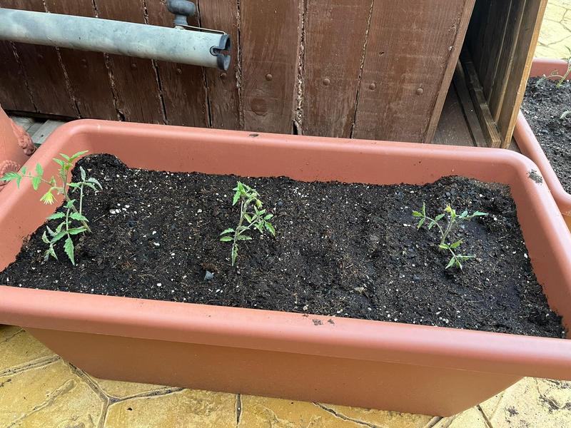 Abrir modal de revisión 1 de 1