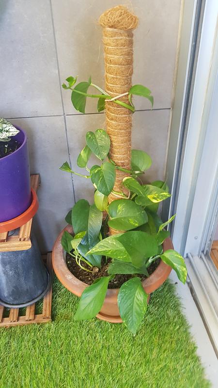 Ouvrir la fenêtre modale de l'avis 1 sur 1