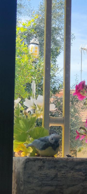 Abra o modal de avaliação 1 de 1