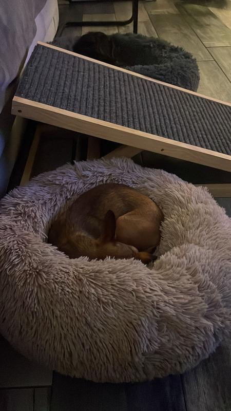 Abrir modal de revisión 1 de 1