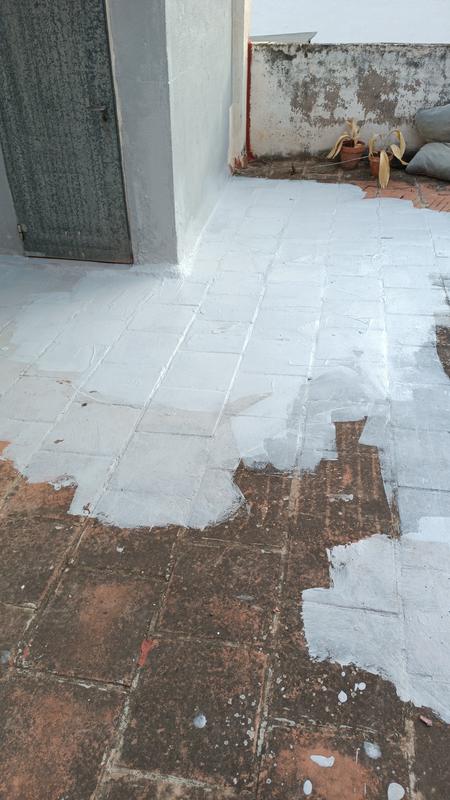 Abrir modal de revisión 1 de 1