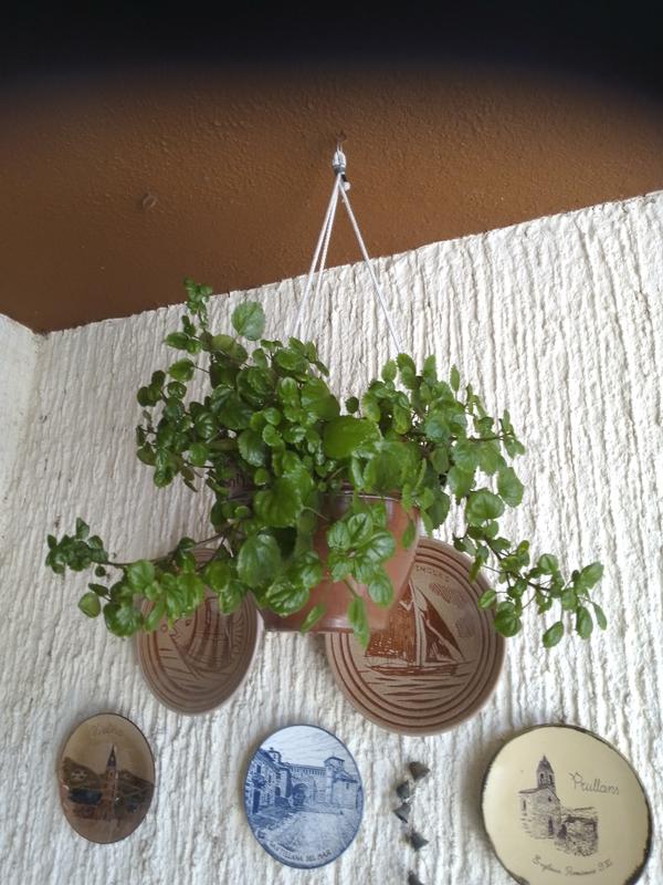 Abrir modal de revisión 1 de 1