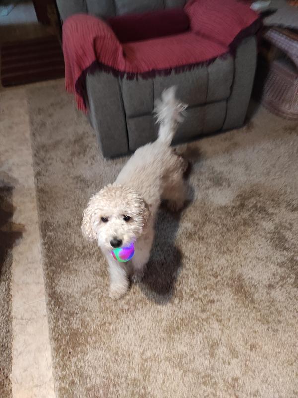 Abrir modal de revisión 2 de 2