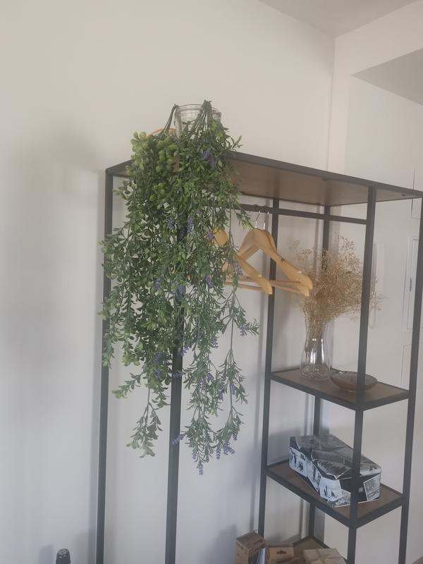 Abrir modal de revisión 1 de 1