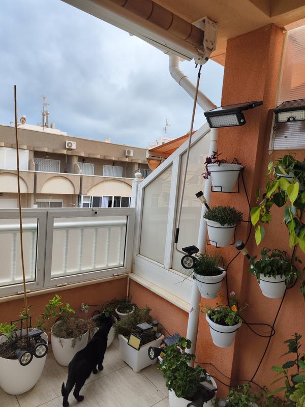 Abrir modal de revisión 1 de 1