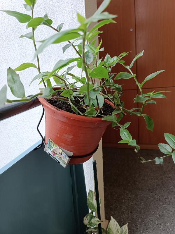 Abra o modal de avaliação 1 de 1