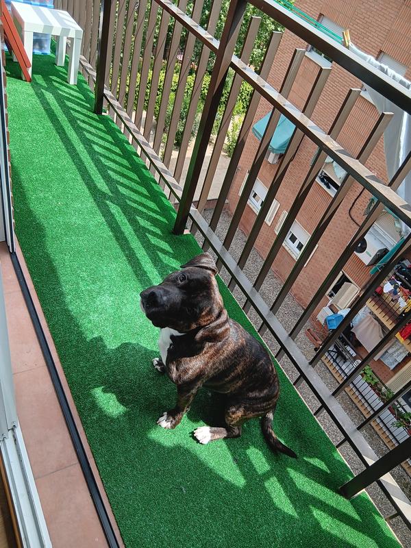 Rollo de Césped Artificial Barato exterior jardín terraza mascotas