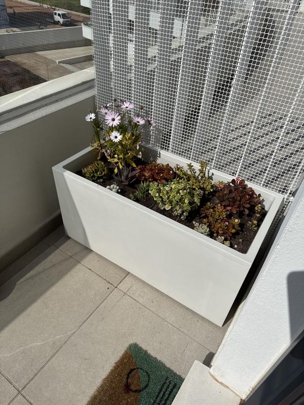 Abrir modal de revisión 1 de 1