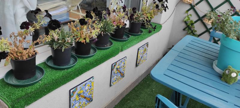 Abrir modal de revisión 1 de 1